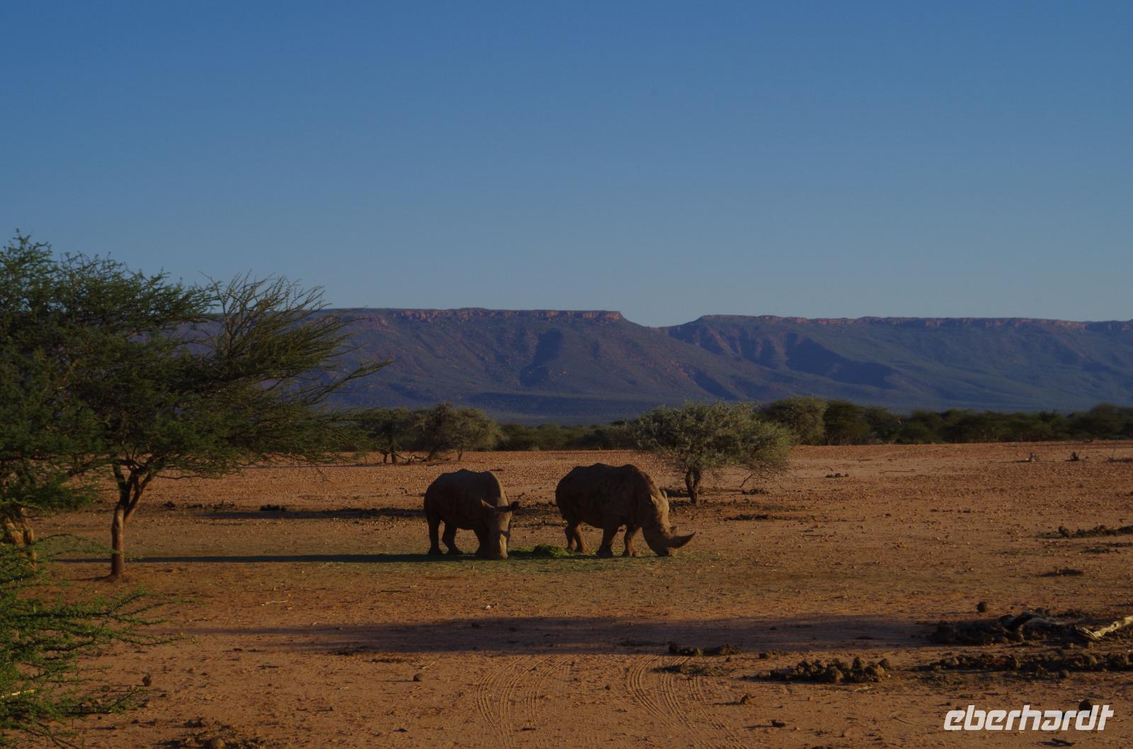 Okanjati Game Reserve