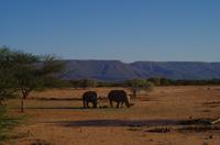 Okanjati Game Reserve