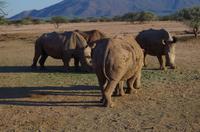 Okanjati Game Reserve