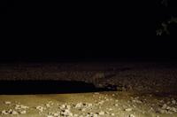 Etosha Nationalpark - Okaukuejo Resort