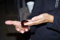 Namibia - Tausendfüßler