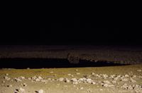 Etosha Nationalpark - Okaukuejo Resort