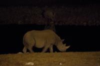 Etosha Nationalpark - Okaukuejo Resort