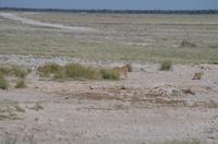 Etosha Nationalpark