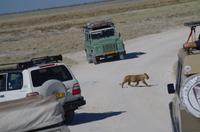 Etosha Nationalpark