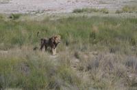 Etosha Nationalpark