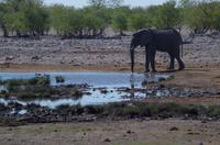 Etosha Nationalpark