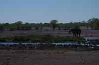 Etosha Nationalpark