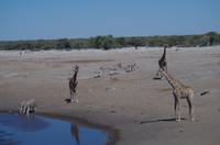 Etosha Nationalpark