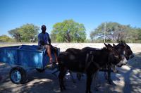 Unterwegs in Namibia - Kalahari Ferrari