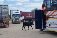 Unterwegs in Namibia