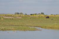 Bootsfahrt auf dem Kavango