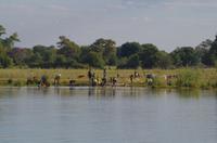 Bootsfahrt auf dem Kavango