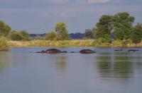 Bootsfahrt auf dem Kavango