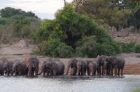 Bootsfahrt auf dem Kavango