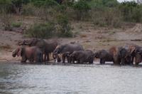 Bootsfahrt auf dem Kavango