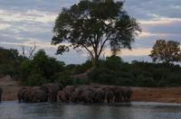 Bootsfahrt auf dem Kavango