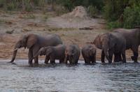 Bootsfahrt auf dem Kavango