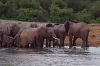 Bootsfahrt auf dem Kavango