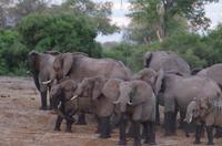 Bootsfahrt auf dem Kavango