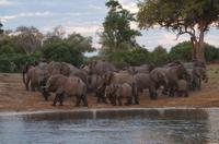 Bootsfahrt auf dem Kavango