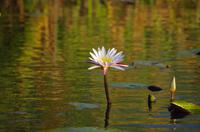 Bootsfahrt auf dem Kwando