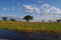 Bootsfahrt auf dem Chobe