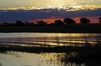 Sundowner auf dem Chobe