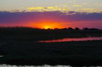 Sundowner auf dem Chobe