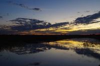 Sundowner auf dem Chobe
