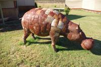 Namibia - Chobe River Camp