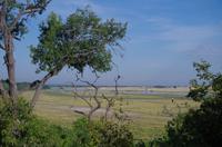 Botswana - Pirschfahrt im Chobe Nationalpark