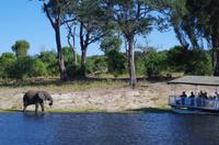 Bootsfahrt auf dem Chobe