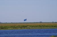Bootsfahrt auf dem Chobe 
