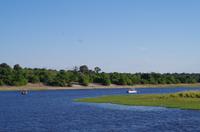 Bootsfahrt auf dem Chobe 