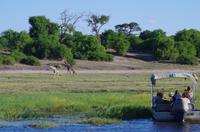 Bootsfahrt auf dem Chobe 