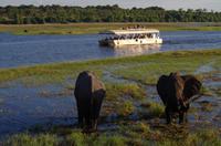 Bootsfahrt auf dem Chobe 