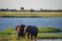 Bootsfahrt auf dem Chobe 