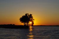 Bootsfahrt auf dem Chobe - Sonnenuntergang