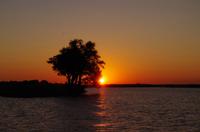 Bootsfahrt auf dem Chobe - Sonnenuntergang
