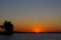Bootsfahrt auf dem Chobe - Sonnenuntergang