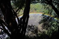 Simbabwe - Victoria Wasserfälle