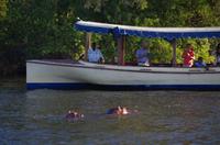 Simbabwe - Bootsfahrt auf dem Sambesi