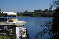 A Zambesi River Lodge -  Vic Falls