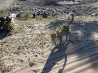 Danke für den perfekten Moment