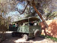 Okanjati Wildreservat - Pirschfahrt