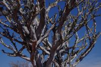 Okanjati Wildreservat - Pirschfahrt