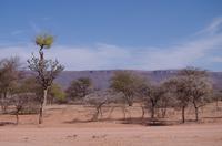 Okanjati Wildreservat - Mount Etjo