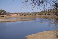 Okanjati Wildreservat - Pirschfahrt