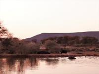 Okanjati Wildreservat - Pirschfahrt